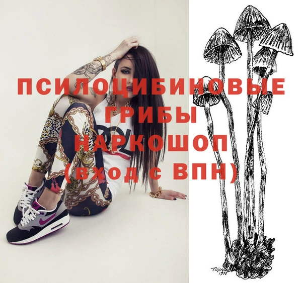 синтетический гашиш Киреевск