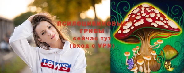 синтетический гашиш Киреевск