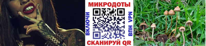 Купить  Можга  Псилоцибиновые грибы мухоморы 